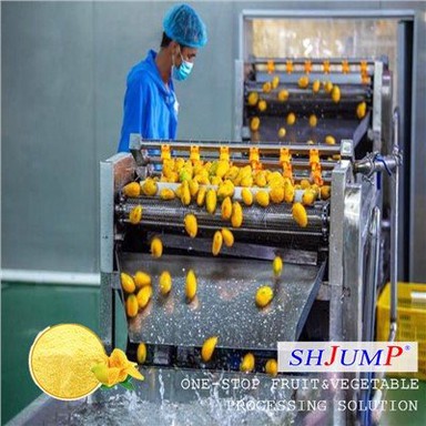 Линия за обработка на манго на прах