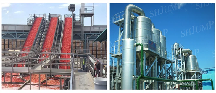 Готово решение Линия за концентриране на доматено пюре